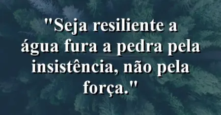 Seja resiliente: a água fura a pedra pela insistência, não pela força.