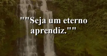 “Seja um eterno aprendiz.”