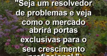 “Seja um resolvedor de problemas e veja como o mercado abrirá portas exclusivas para o seu crescimento profissional.”