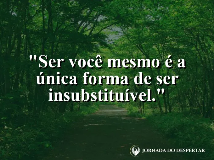 Uma pedra preciosa bruta entre pedras de rio comuns.
