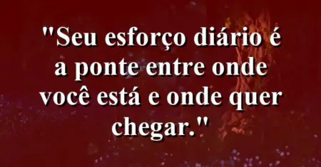 “Seu esforço diário é a ponte entre onde você está e onde quer chegar.”