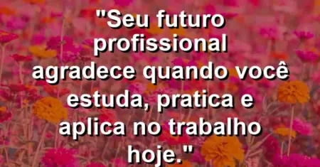 “Seu futuro profissional agradece quando você estuda, pratica e aplica no trabalho hoje.”