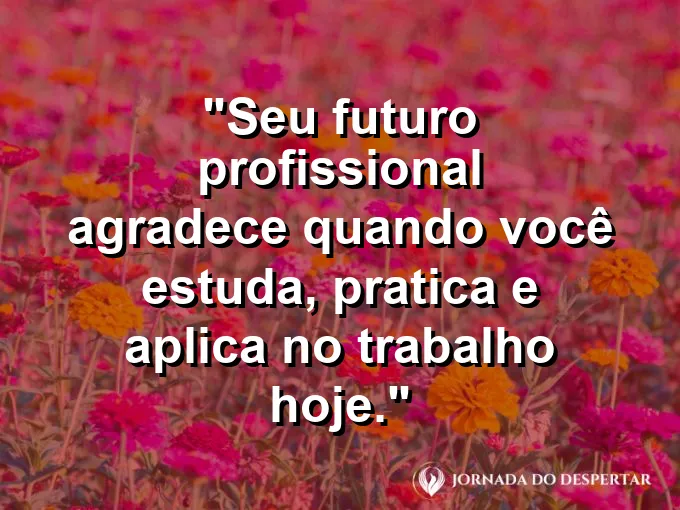 Imagem com a frase motivacional sobre trabalho: Seu futuro profissional agradece quando você estuda, pratica e aplica no trabalho hoje.