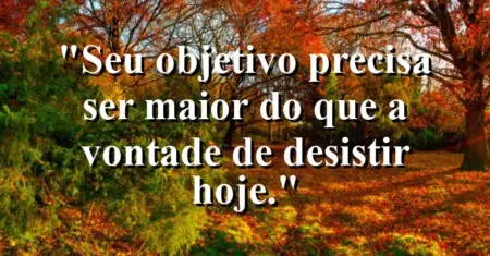 “Seu objetivo precisa ser maior do que a vontade de desistir hoje.”