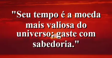 Seu tempo é a moeda mais valiosa do universo; gaste com sabedoria.