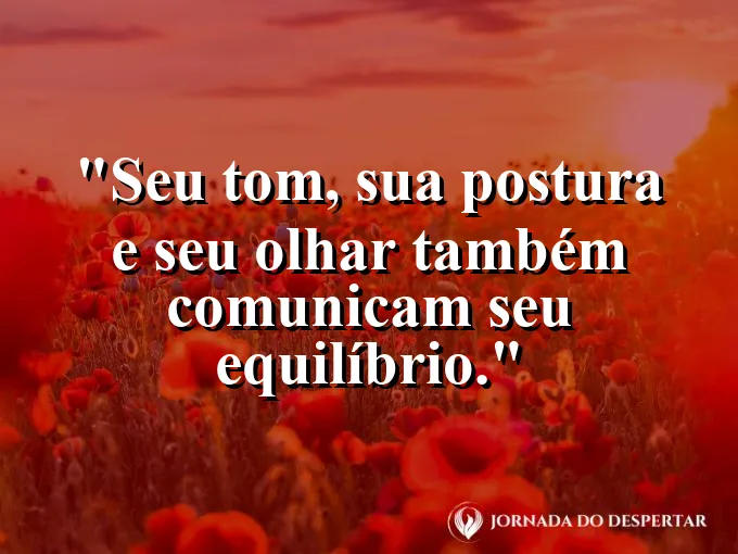 Imagem com frase sobre equilíbrio emocional na comunicação profissional.