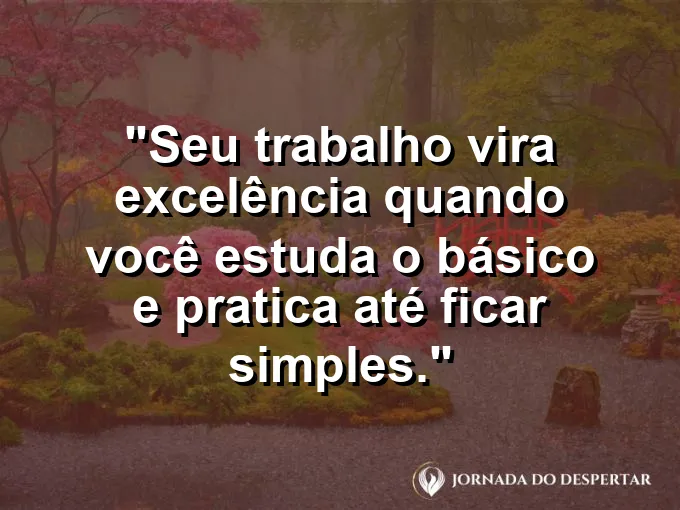 Imagem com a frase motivacional sobre trabalho: Seu trabalho vira excelência quando você estuda o básico e pratica até ficar simples.