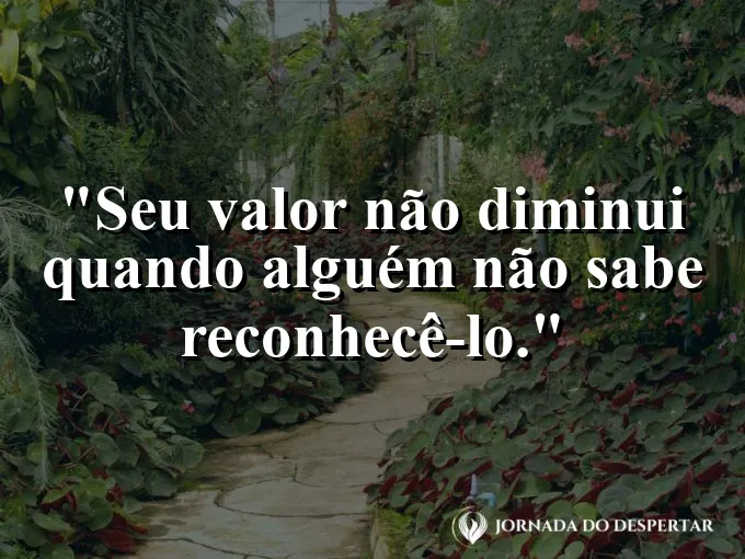 Frase sobre autoconhecimento e autoestima: Seu valor não diminui quando alguém não sabe reconhecê-lo.
