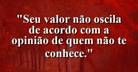 Seu valor não oscila de acordo com a opinião de quem não te conhece.