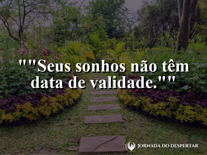 Céu estrelado com uma estrela cadente brilhando.