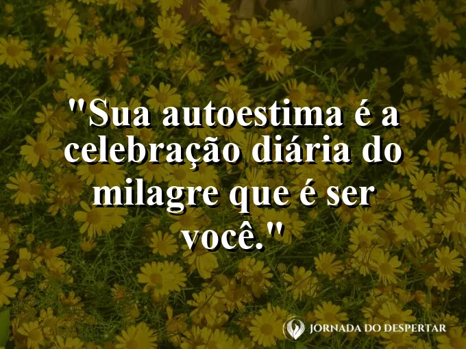 Fogos de artifício formando constelações em um céu noturno.