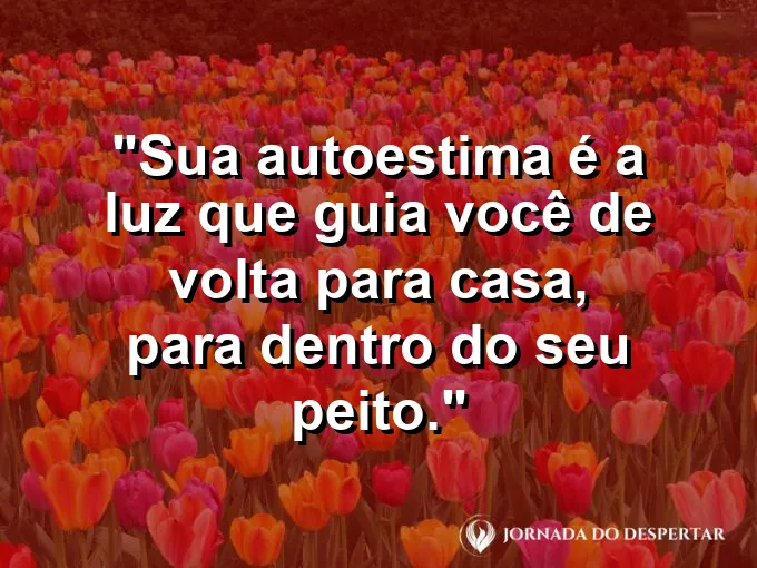 Uma porta de madeira aberta para um jardim ensolarado.