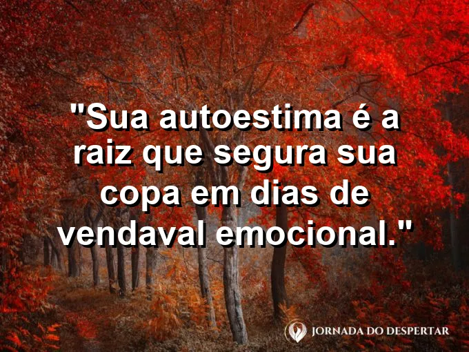 Raízes de uma árvore centenária abraçando rochas sólidas.