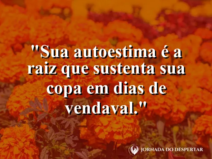 Raízes de uma árvore centenária entrelaçadas em rochas sólidas.