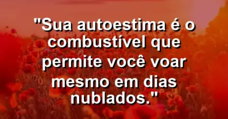 Sua autoestima é o combustível que permite você voar mesmo em dias nublados.