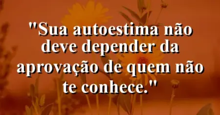 Sua autoestima não deve depender da aprovação de quem não te conhece.