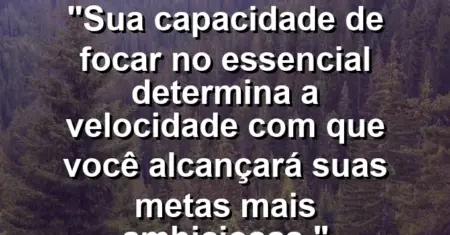 “Sua capacidade de focar no essencial determina a velocidade com que você alcançará suas metas mais ambiciosas.”