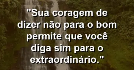 “Sua coragem de dizer não para o bom permite que você diga sim para o extraordinário.”