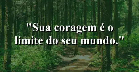 Sua coragem é o limite do seu mundo.