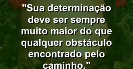 “Sua determinação deve ser sempre muito maior do que qualquer obstáculo encontrado pelo caminho.”