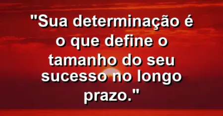 “Sua determinação é o que define o tamanho do seu sucesso no longo prazo.”