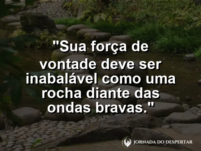 Rocha solitária no meio de um mar revolto com frase sobre vontade inabalável.