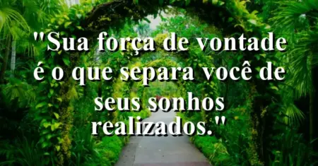 “Sua força de vontade é o que separa você de seus sonhos realizados.”