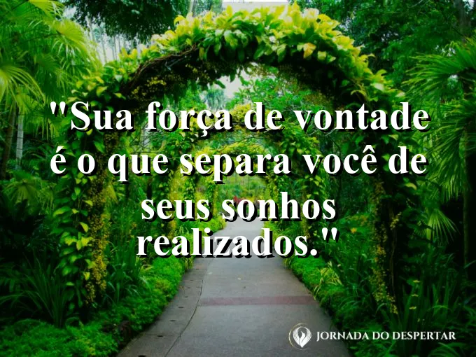 Pessoa olhando para as estrelas em um campo aberto com frase sobre sonhos e vontade.