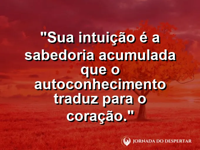 Uma rede de estrelas conectadas formando um padrão luminoso no céu.