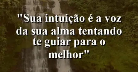 “Sua intuição é a voz da sua alma tentando te guiar para o melhor”