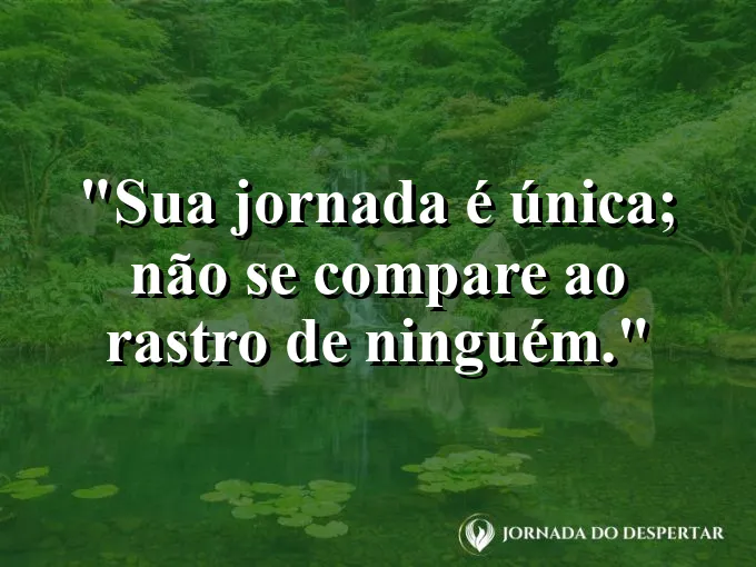 Duas estradas diferentes cruzando uma floresta.