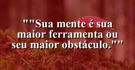 “Sua mente é sua maior ferramenta ou seu maior obstáculo.”