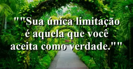 “Sua única limitação é aquela que você aceita como verdade.”