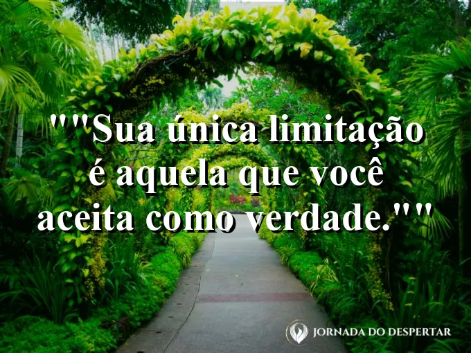 Pássaro saindo de uma gaiola aberta.