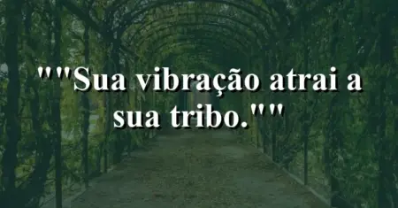 “Sua vibração atrai a sua tribo.”