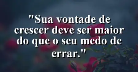 “Sua vontade de crescer deve ser maior do que o seu medo de errar.”