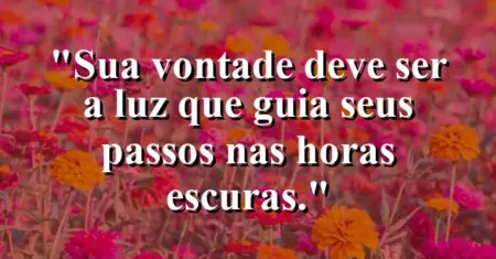 “Sua vontade deve ser a luz que guia seus passos nas horas escuras.”