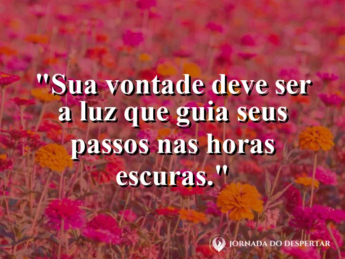 Pessoa segurando uma lanterna em uma floresta escura com frase sobre luz e vontade.