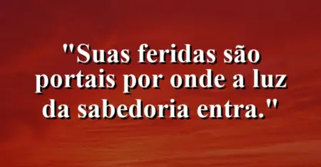 Suas feridas são portais por onde a luz da sabedoria entra.