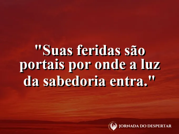 Rachadura em uma parede de pedra por onde nasce uma flor pequena.