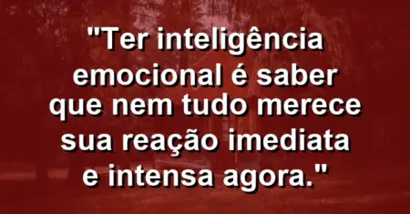 “Ter inteligência emocional é saber que nem tudo merece sua reação imediata e intensa agora.”