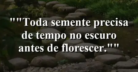 “Toda semente precisa de tempo no escuro antes de florescer.”