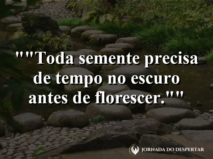 Broto de planta saindo da terra sob a luz do luar.