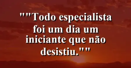 “Todo especialista foi um dia um iniciante que não desistiu.”