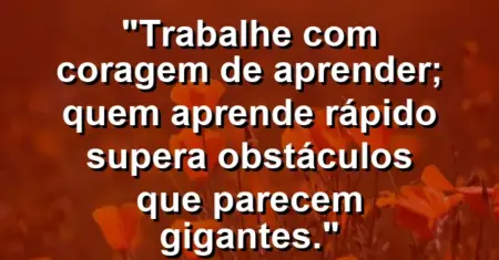 “Trabalhe com coragem de aprender; quem aprende rápido supera obstáculos que parecem gigantes.”