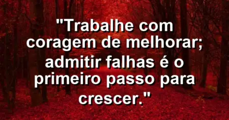 “Trabalhe com coragem de melhorar; admitir falhas é o primeiro passo para crescer.”