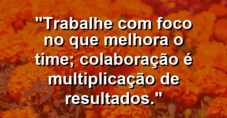 “Trabalhe com foco no que melhora o time; colaboração é multiplicação de resultados.”