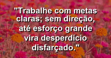 “Trabalhe com metas claras; sem direção, até esforço grande vira desperdício disfarçado.”