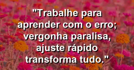 “Trabalhe para aprender com o erro; vergonha paralisa, ajuste rápido transforma tudo.”
