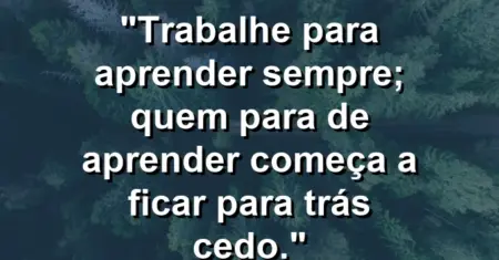 “Trabalhe para aprender sempre; quem para de aprender começa a ficar para trás cedo.”